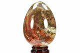Colorful, Polished Petrified Wood Egg - Triassic #133924-1